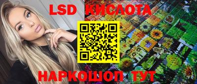spice Севастополь