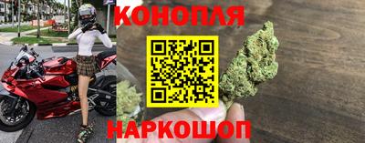не бодяженный Сланцы