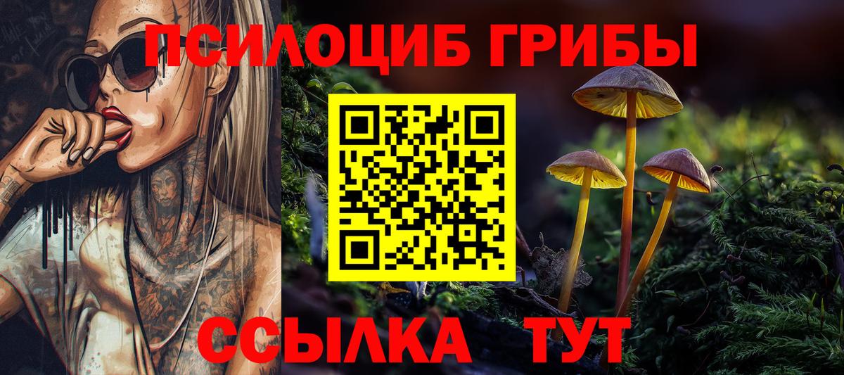 Саранск  Псилоцибиновые грибы мицелий  Вход с VPN 