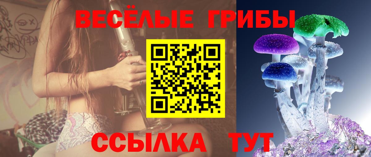 Псилоцибиновые грибы Psilocybine cubensis Саранск