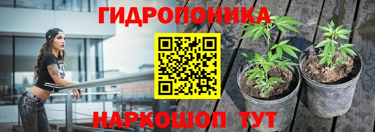 Марихуана OG Kush  Бошки марихуана гибрид  Конопля тримм  Вход с VPN  Саранск 